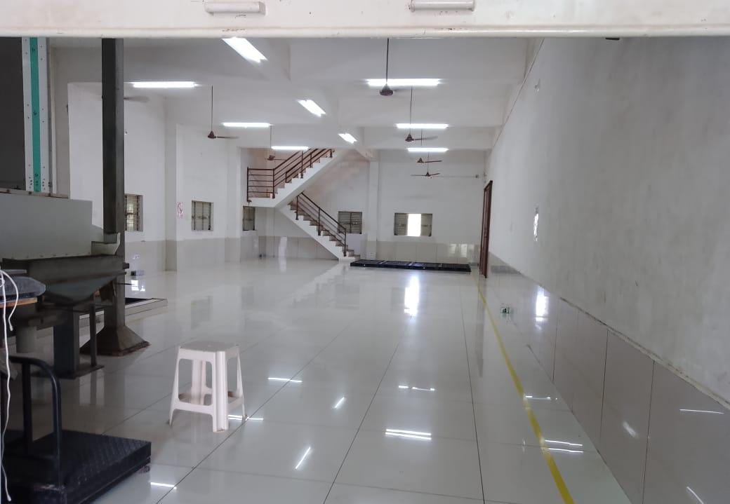 Conveyor Systems
