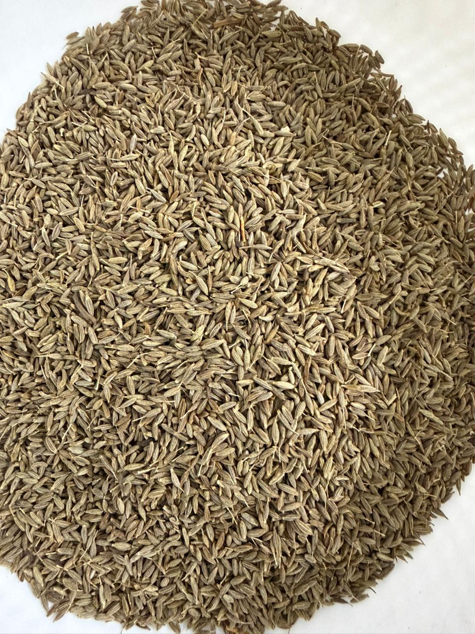 Cumin Seeds
