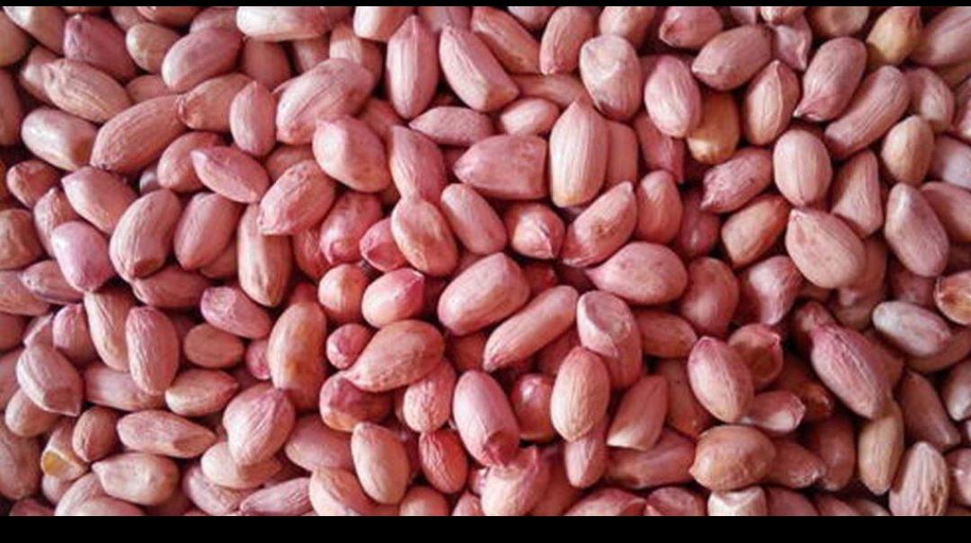 Indian Raw Bold