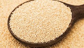 Indian Rajgira / Amaranth