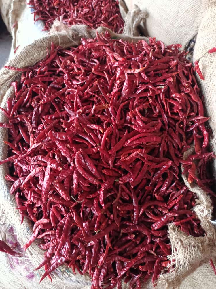 Red Chilli